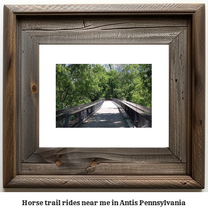 horse trail rides near me in Antis, Pennsylvania